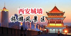 黑人大鸡巴操逼逼免费视频女人被马干中国陕西-西安城墙旅游风景区
